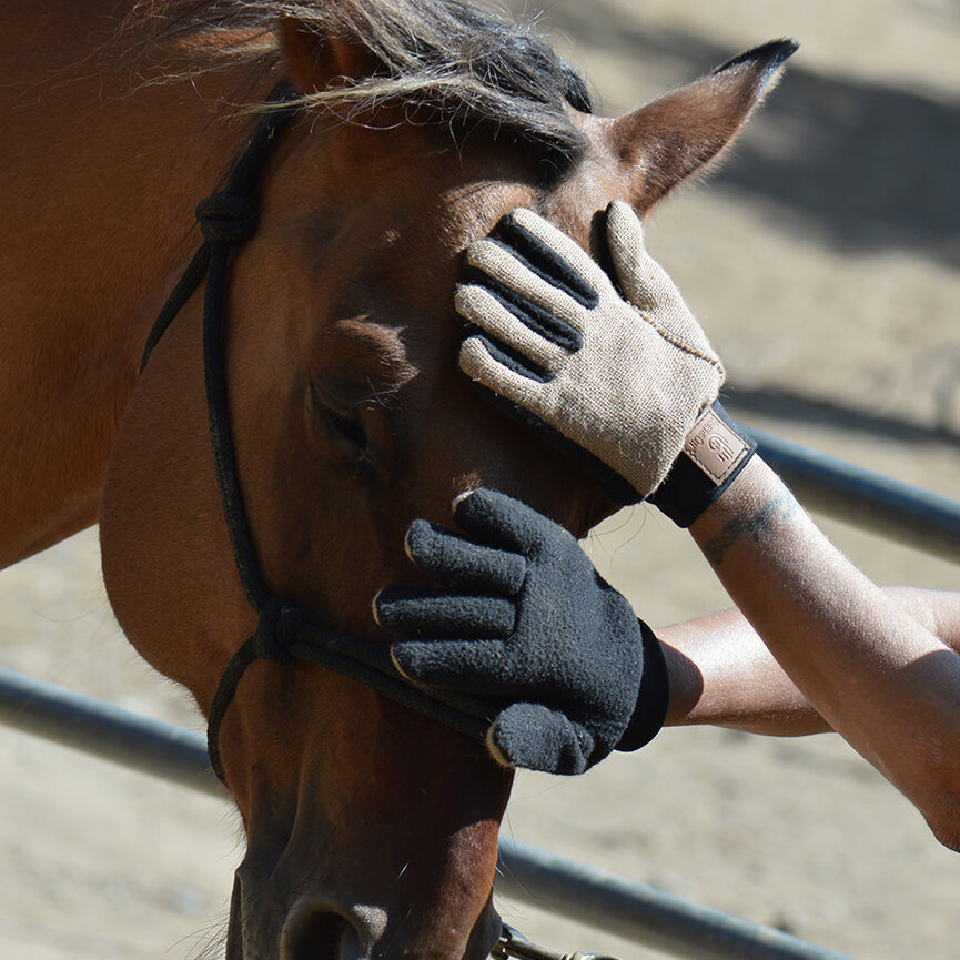 HandsOn Finishing Gloves