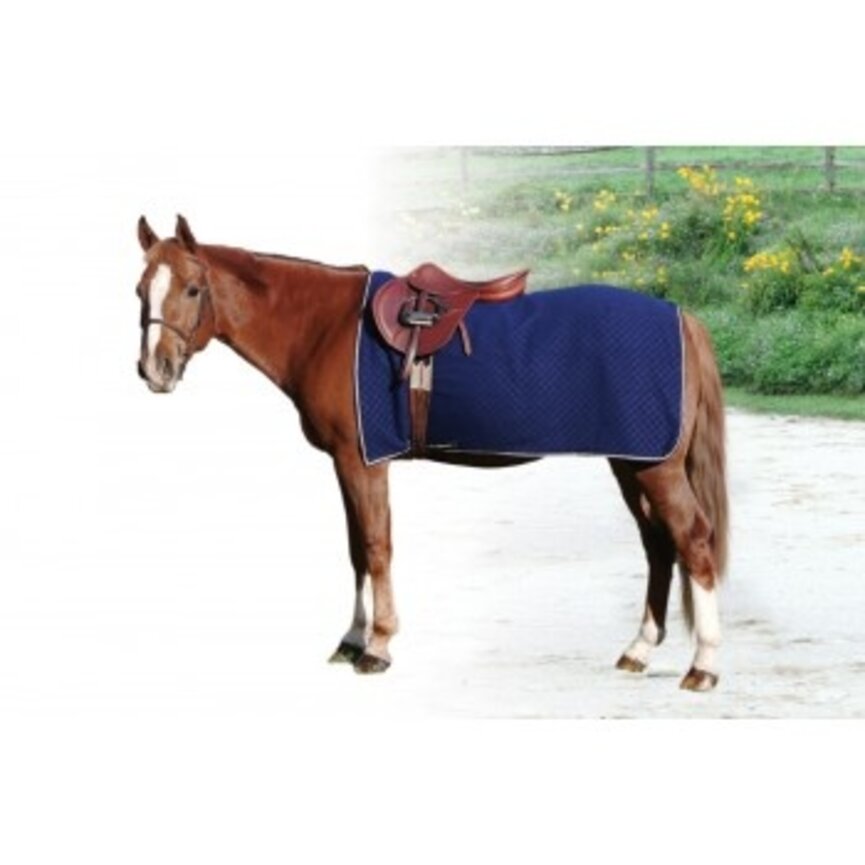 PERFORMANCE FLEECE QUARTER SHEET