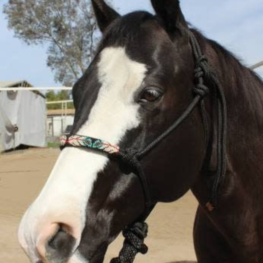 Beaded Rope Halter