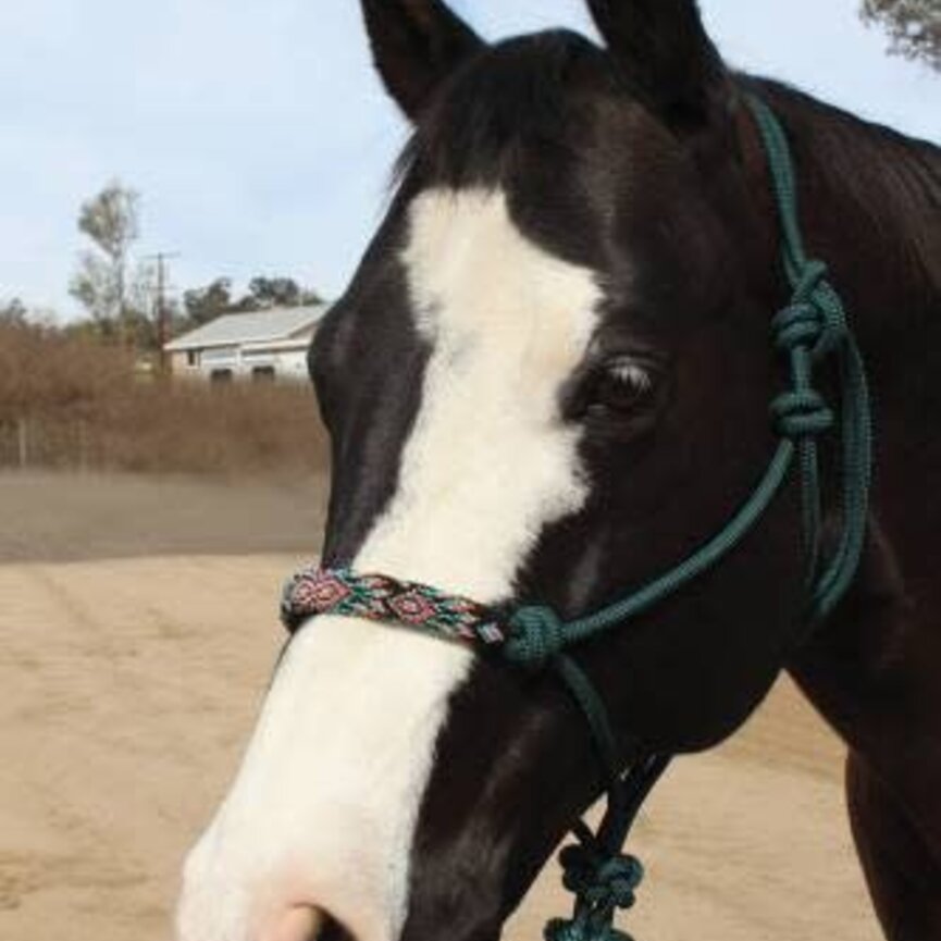 Beaded Rope Halter