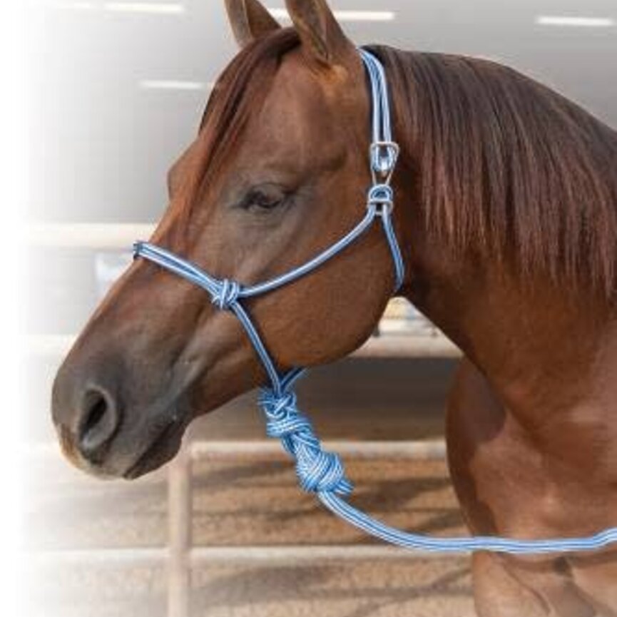 Easy On Rope Halter
