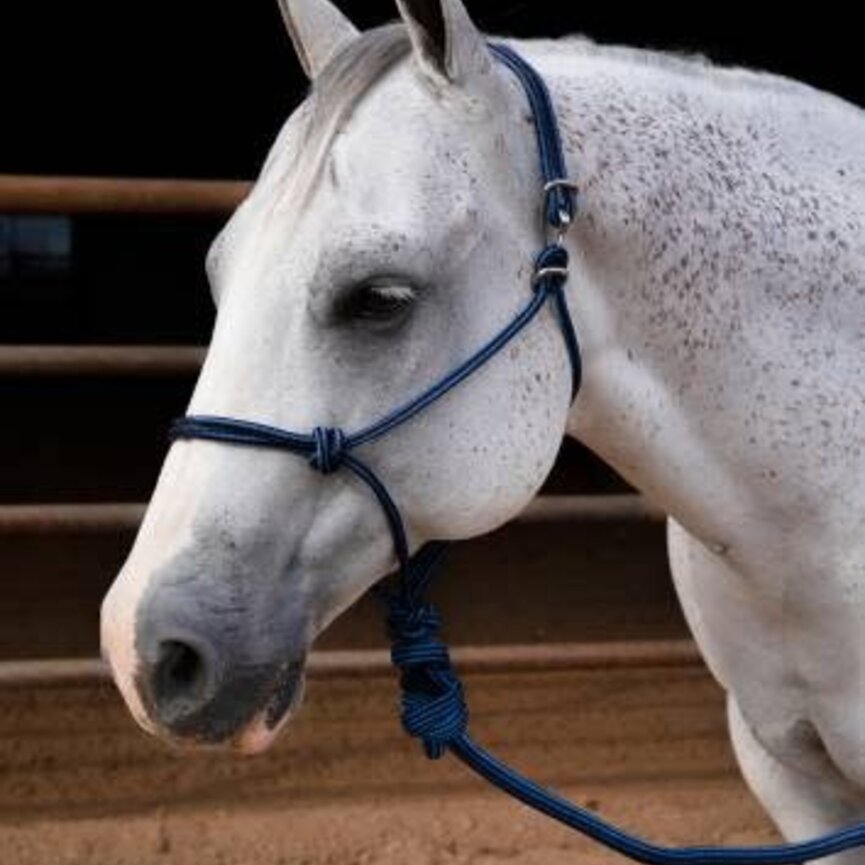 Easy On Rope Halter