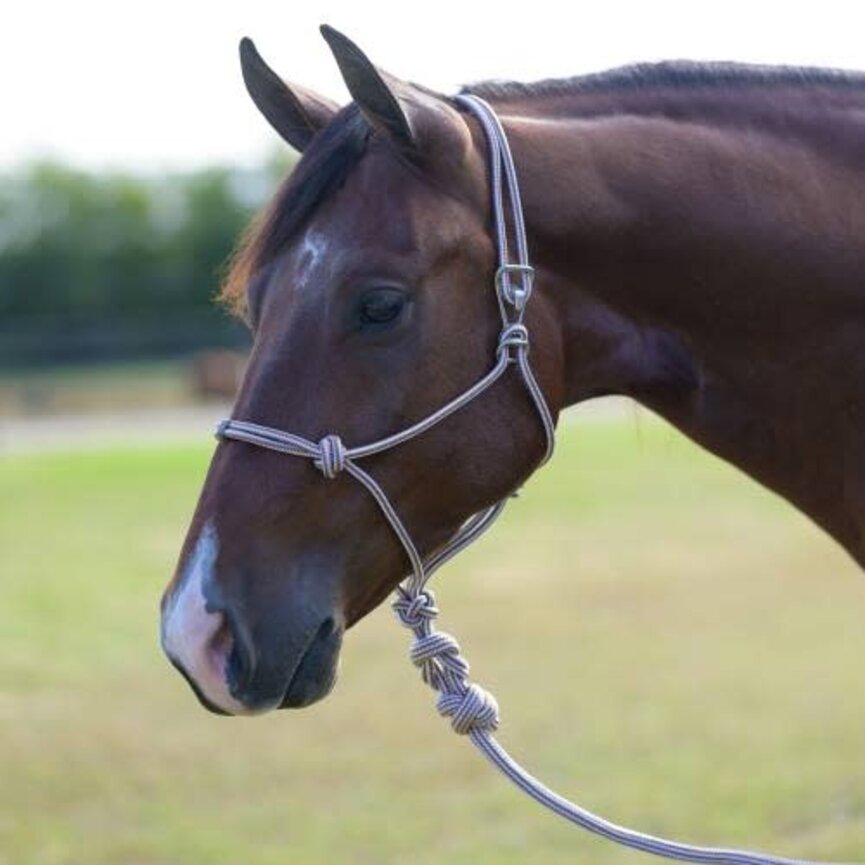 Easy On Rope Halter