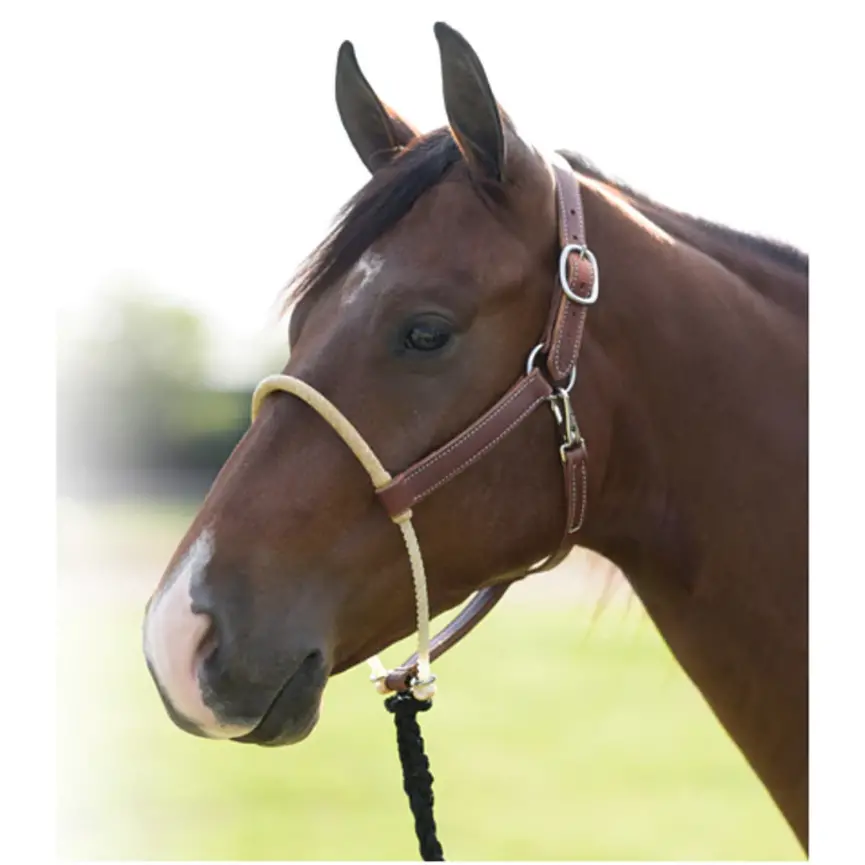 Rawhide Wrapped Single Rope Noseband Leather Ranch Horse Halter