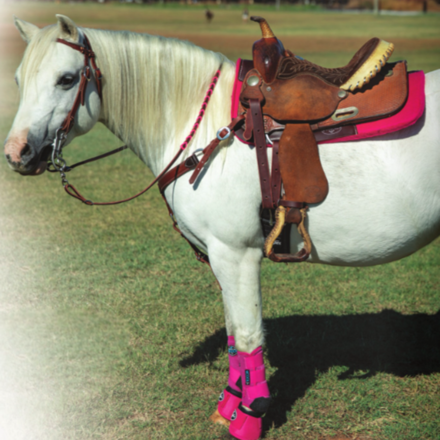 Pony Felt Pad