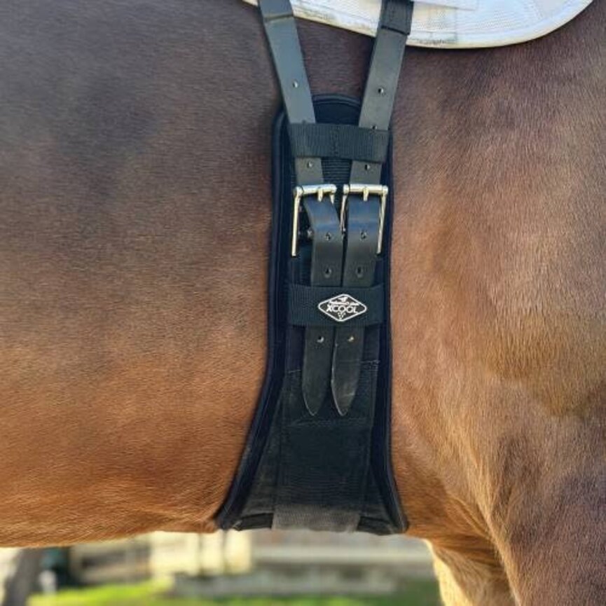 2XCool Dressage Girth