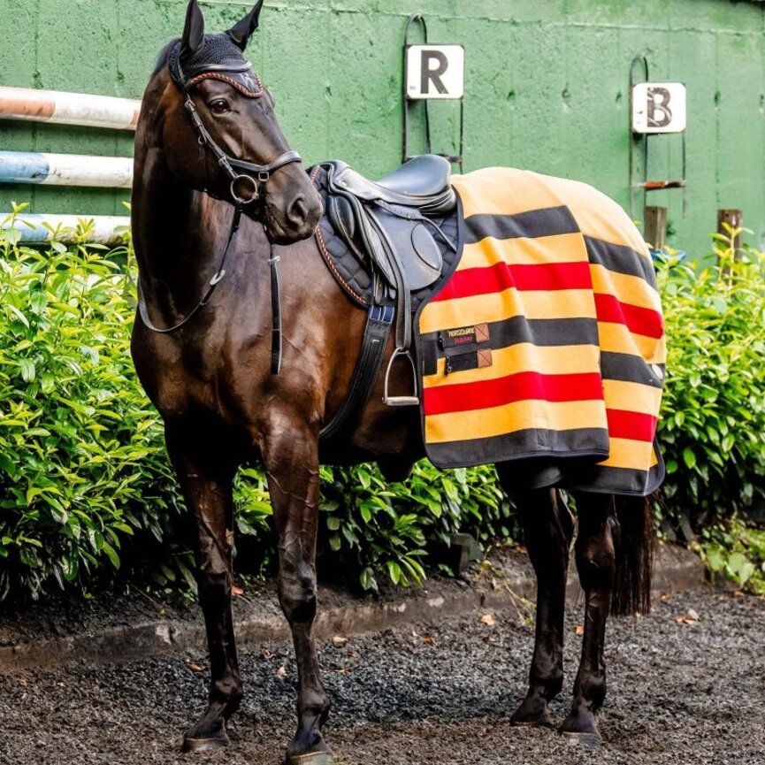 Horseware Newmarket Fleece Cooler  (No Fill)