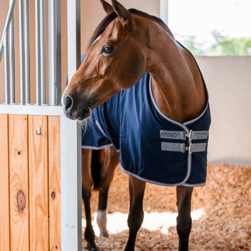 Amigo   Stable Sheet (0g Light)