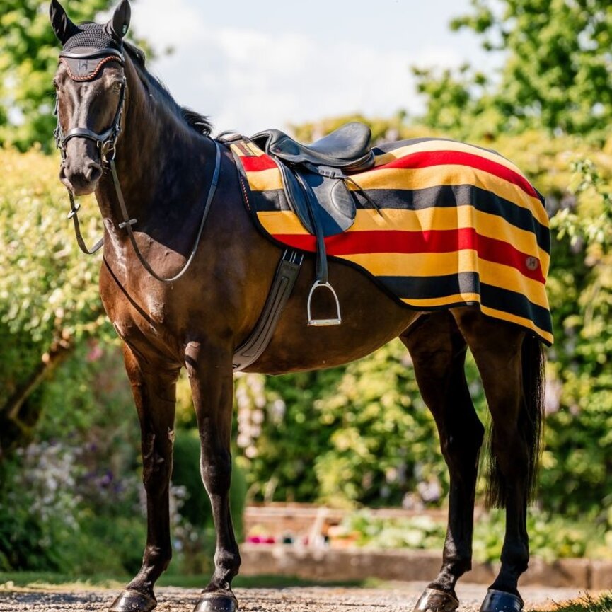 Horseware Newmarket Exercise Sheet  (No Fill)