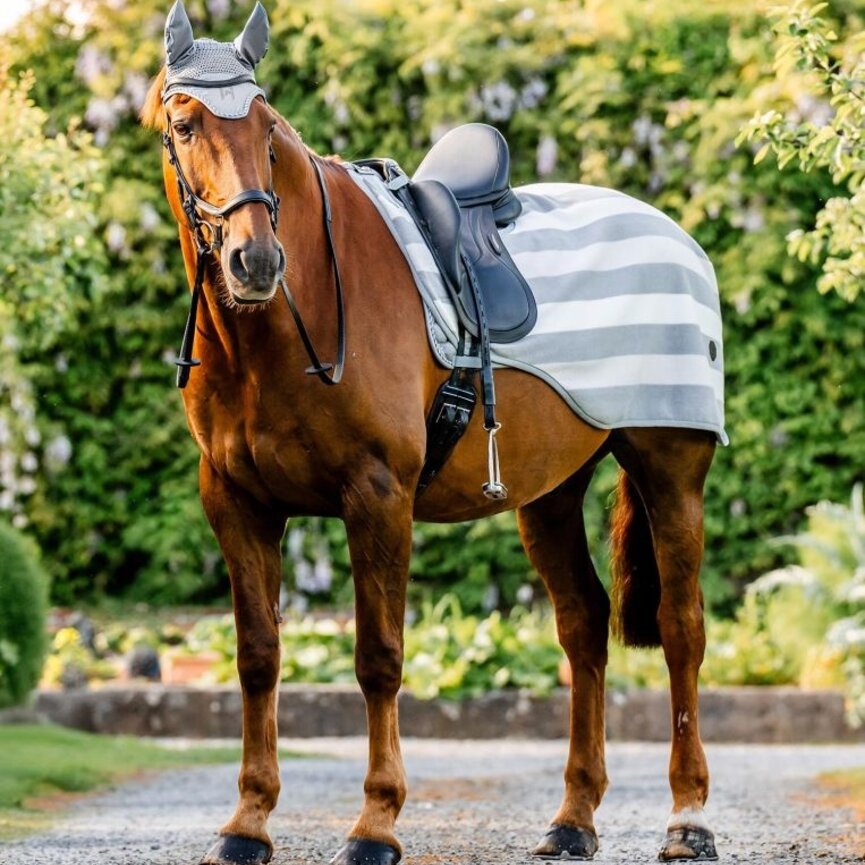 Horseware Newmarket Exercise Sheet  (No Fill)