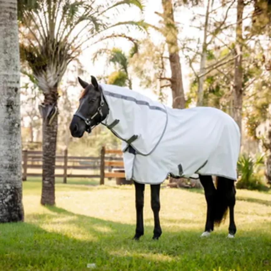 Amigo Summer Sheet Plus