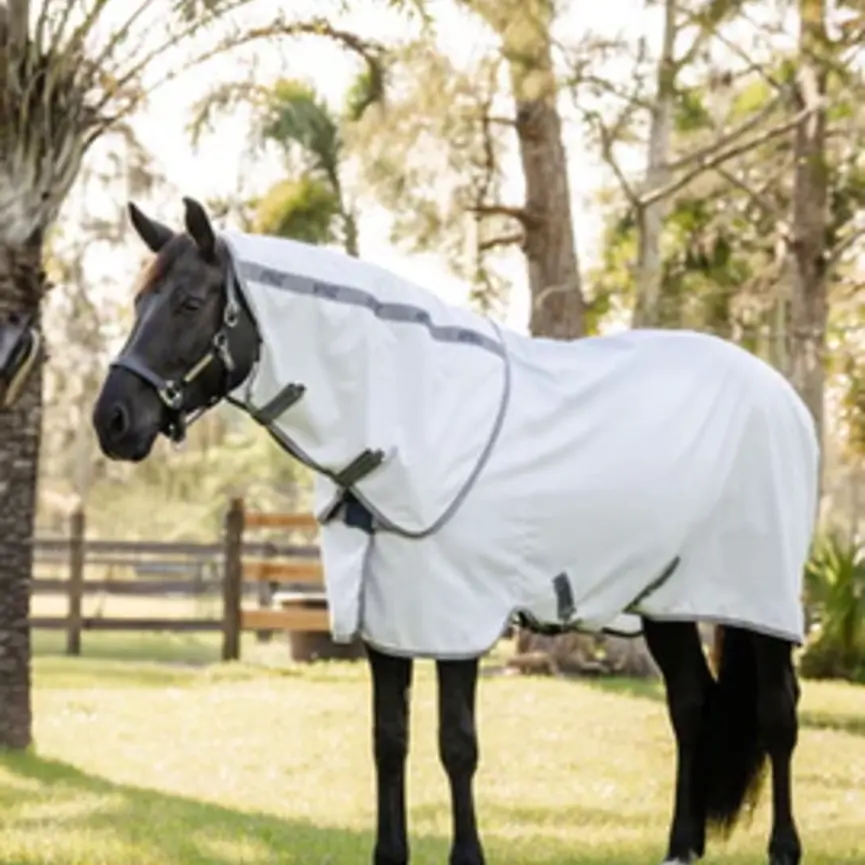 Amigo Summer Sheet Plus