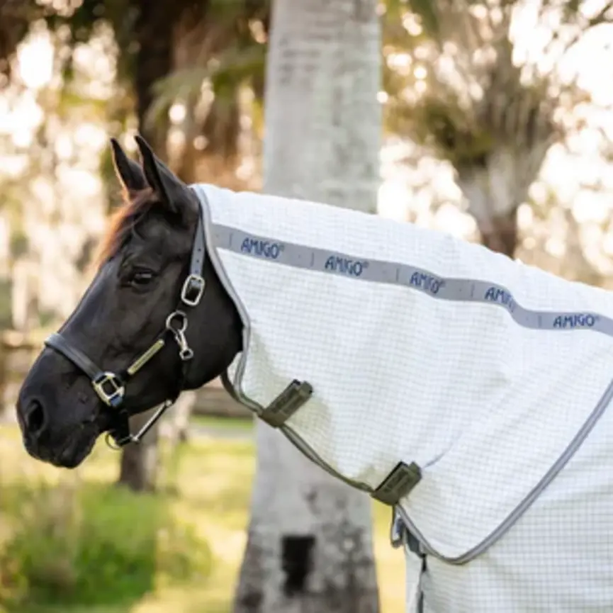 Amigo Summer Sheet Plus