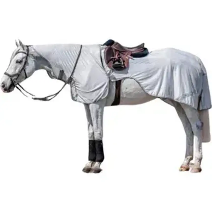 Amigo Flyrider
