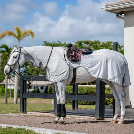 Flyrider Amigo Flyrider - Equine Essentials Tack & Laundry Services