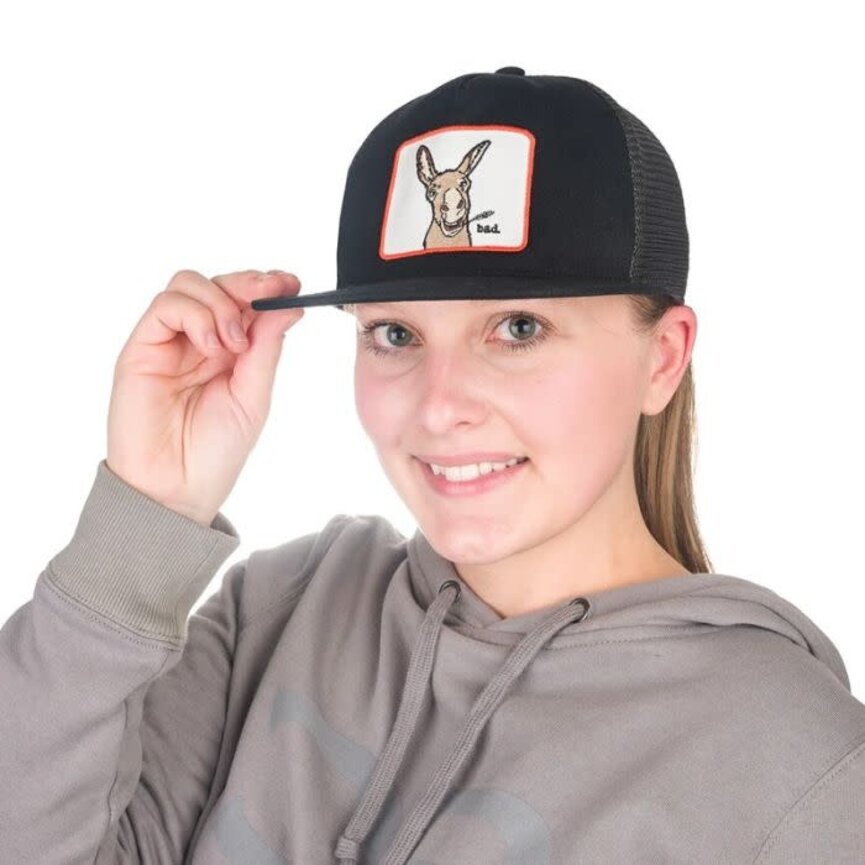 RANCH FARM SNAP BACK HAT