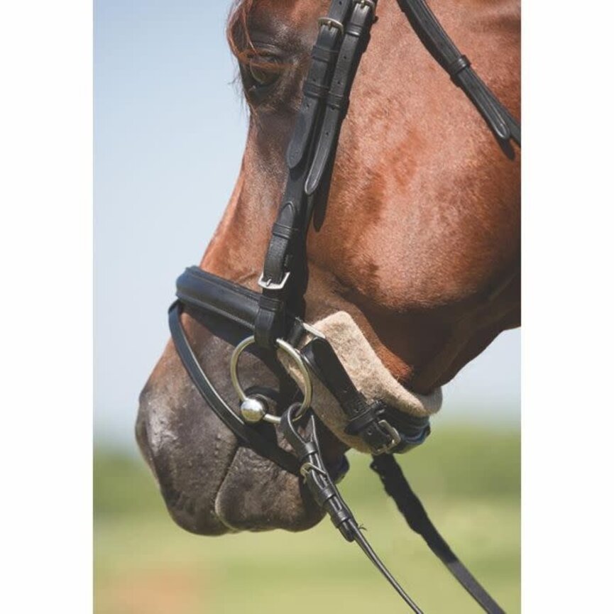 Mustang SoftChin