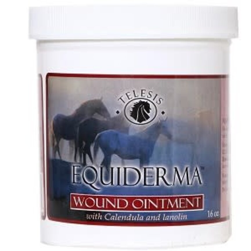 EquiDerma Wound Ointment - 16 oz