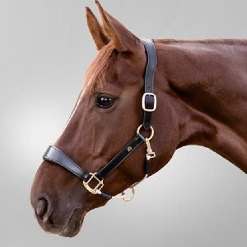 S-Line Royal Halter