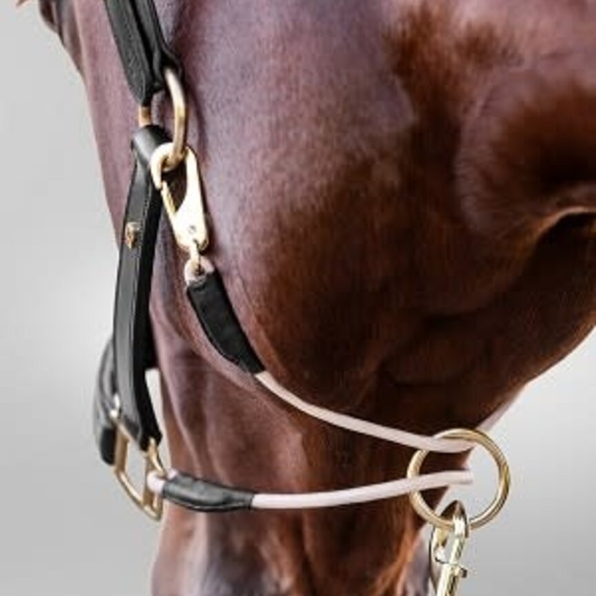 S-Line Royal Halter