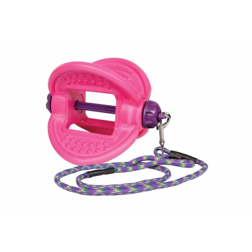 BIZZY LICK BALL HOLDER