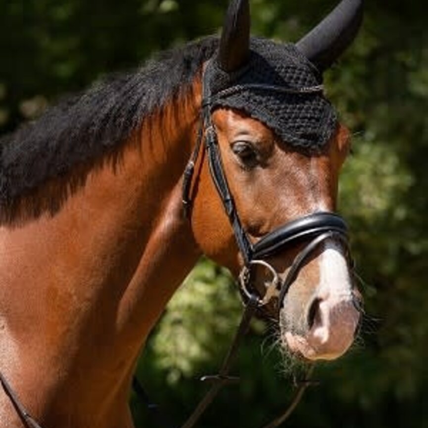 QHP Flore Soundproof Fly Bonnet - Black