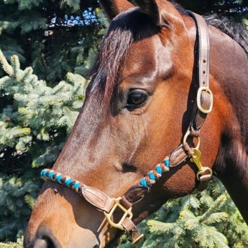 Braided Mohair and Leather Halter