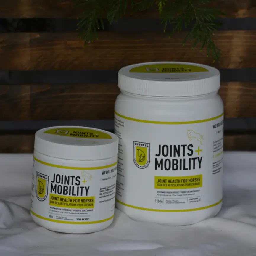 JOINTS + MOBILITY