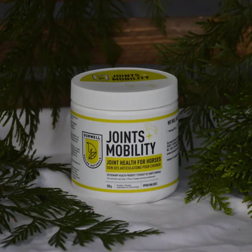 JOINTS + MOBILITY