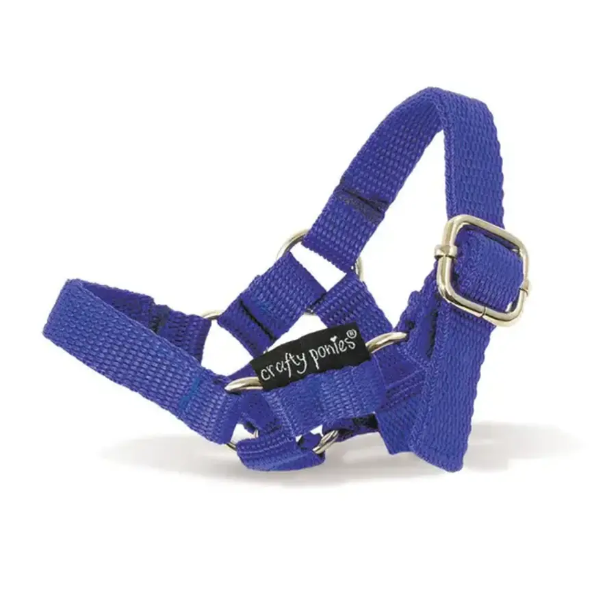 CRAFTY PONIES FOAL HALTER