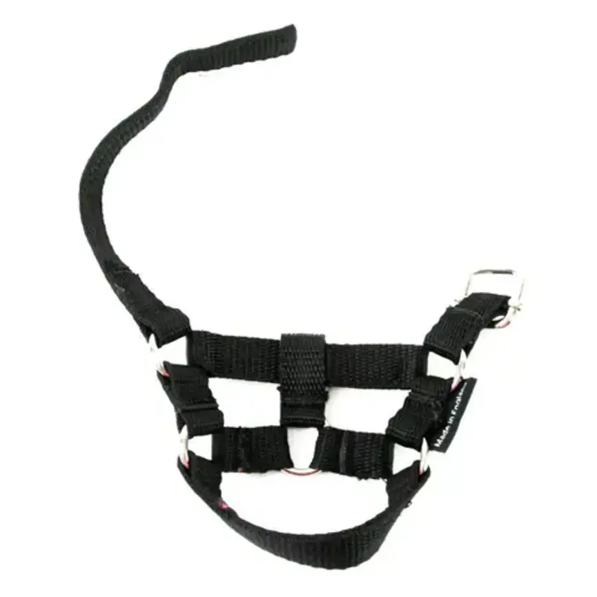 CRAFTY PONIES FOAL HALTER