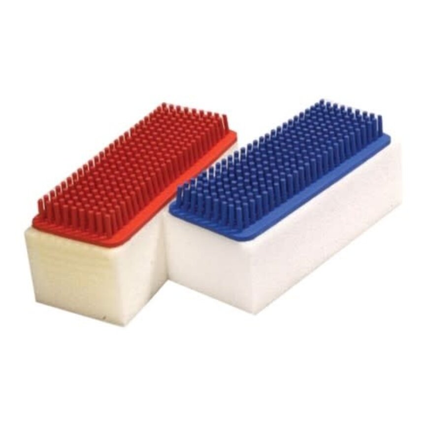 SPONGE WITH SOFT CURRY