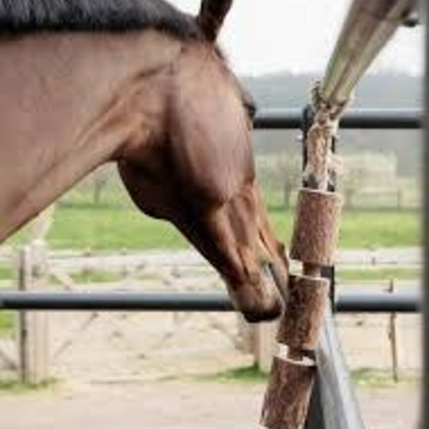 Wooden Relax Horse Toy