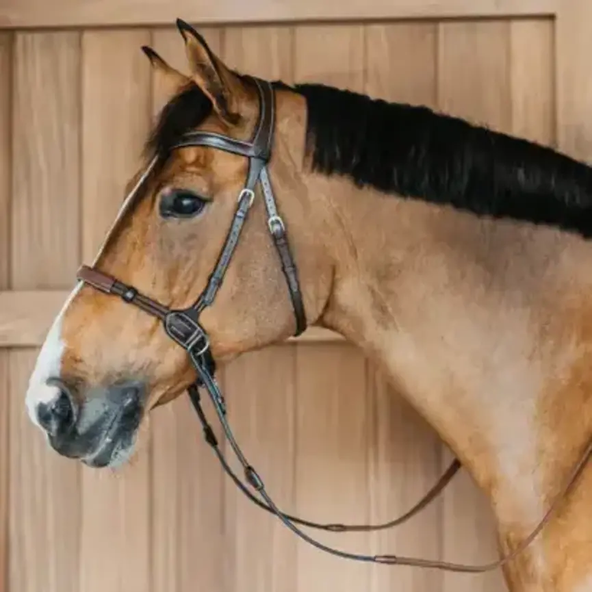 Working Collection Bitless Bridle
