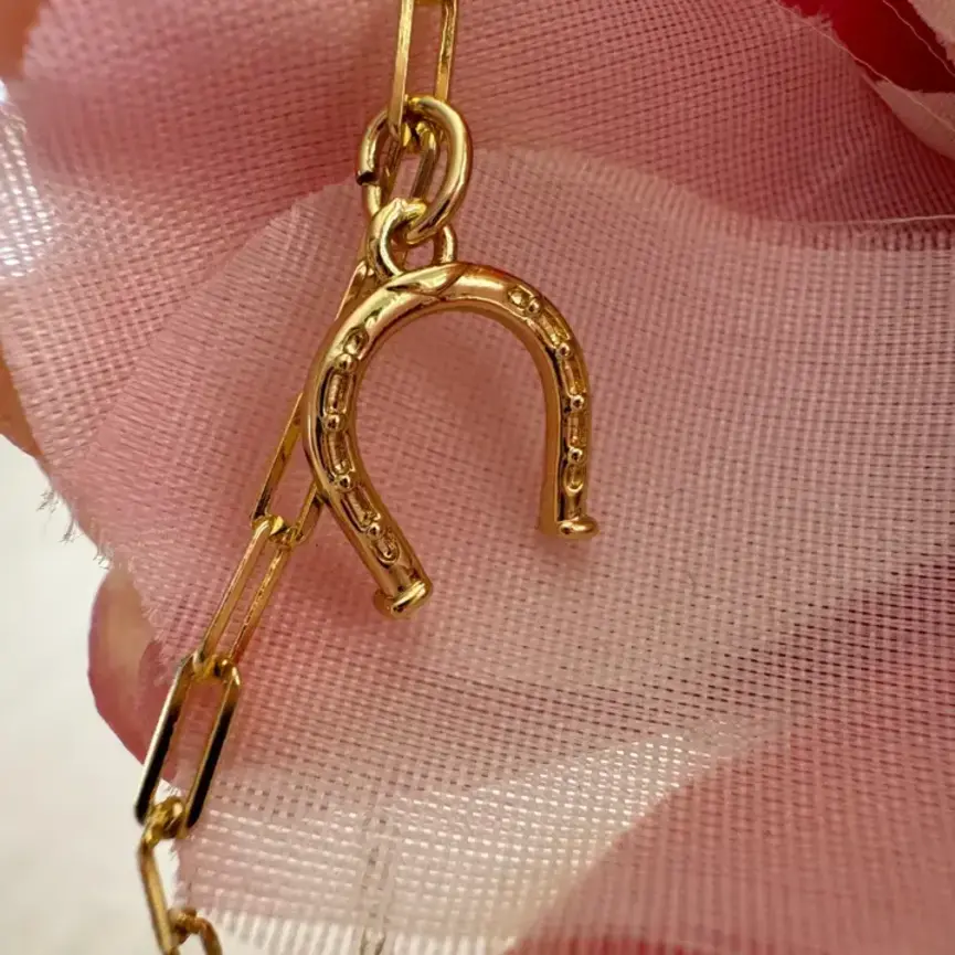 Horseshoe of Hope Bracelet