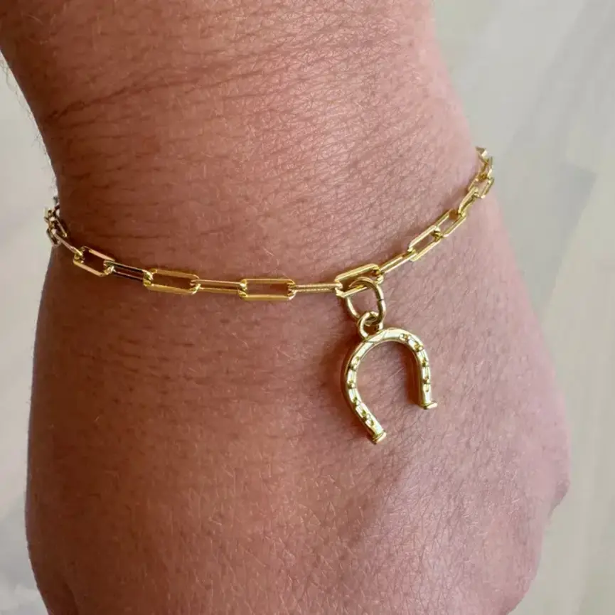 Horseshoe of Hope Bracelet