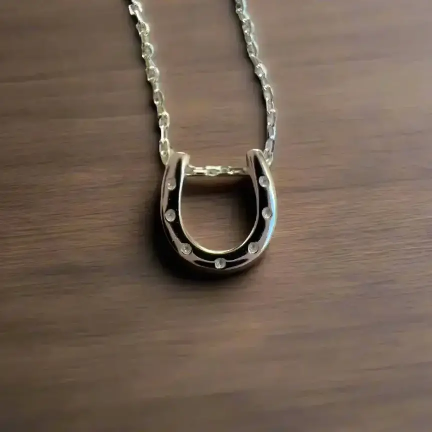 Lucky Horseshoe Necklace