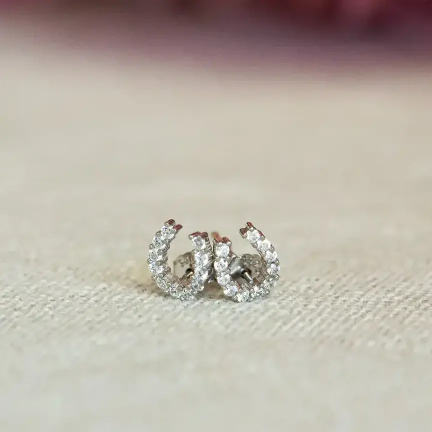 Luxe Horseshoe Earrings