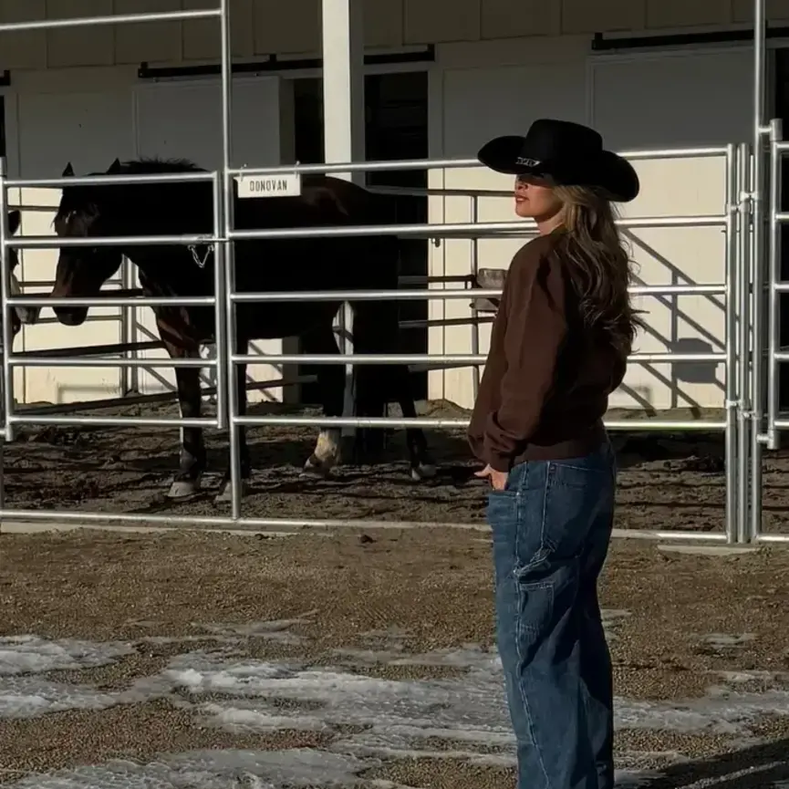 Western Boot-Stitch Embroidered Sweatshirt (Cocoa)