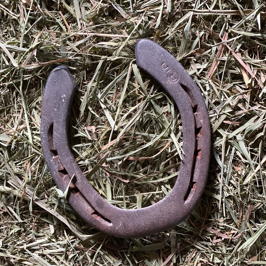 LUCKY HORSESHOE