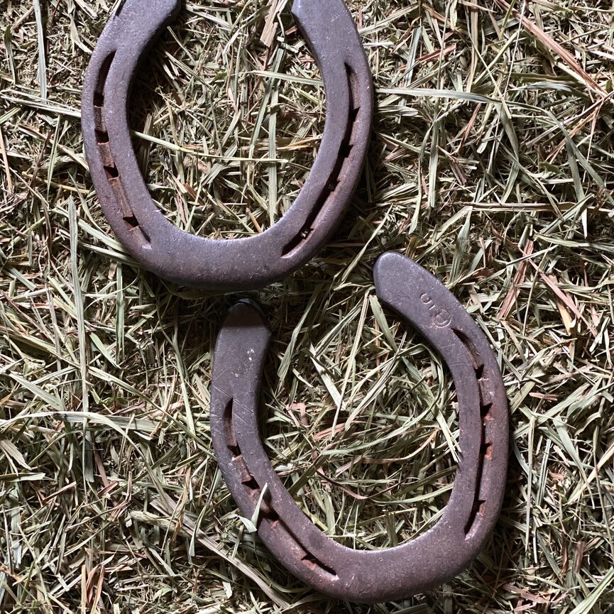 LUCKY HORSESHOE