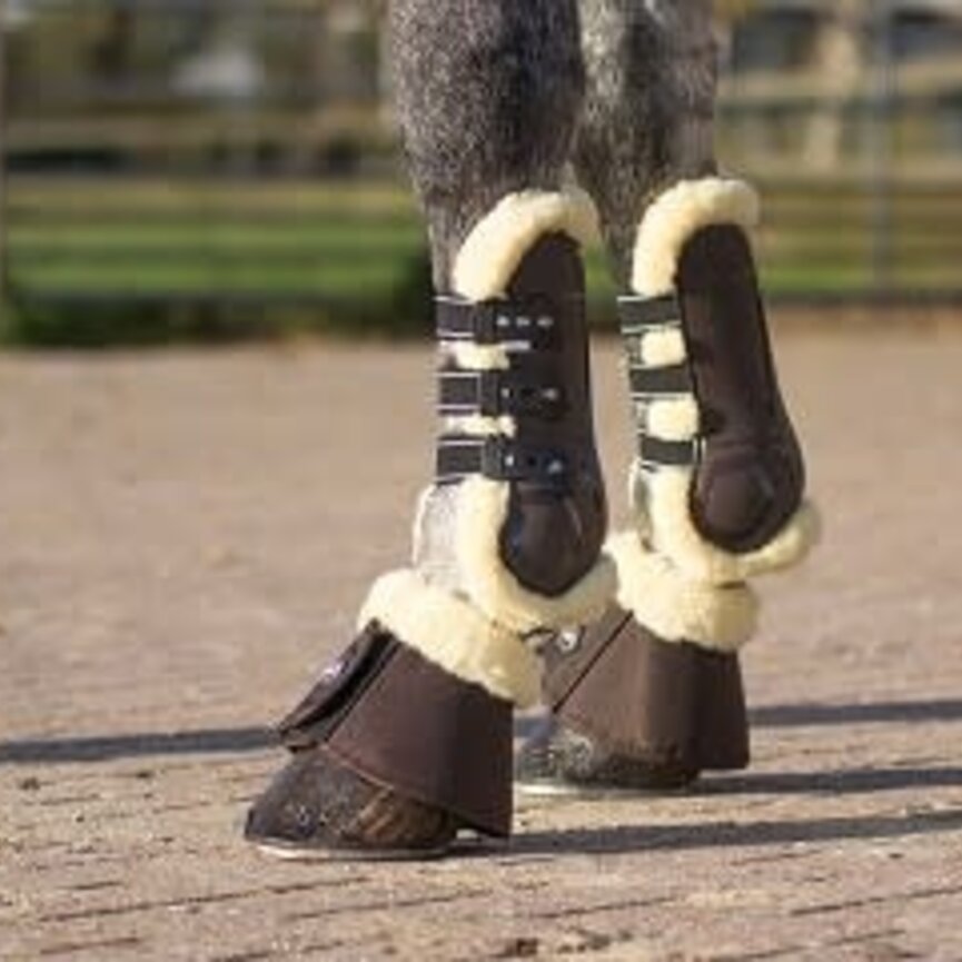 QHP Ontario Tendon Boots
