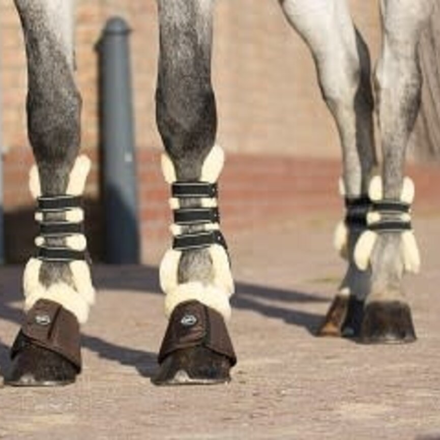 QHP Ontario Tendon Boots