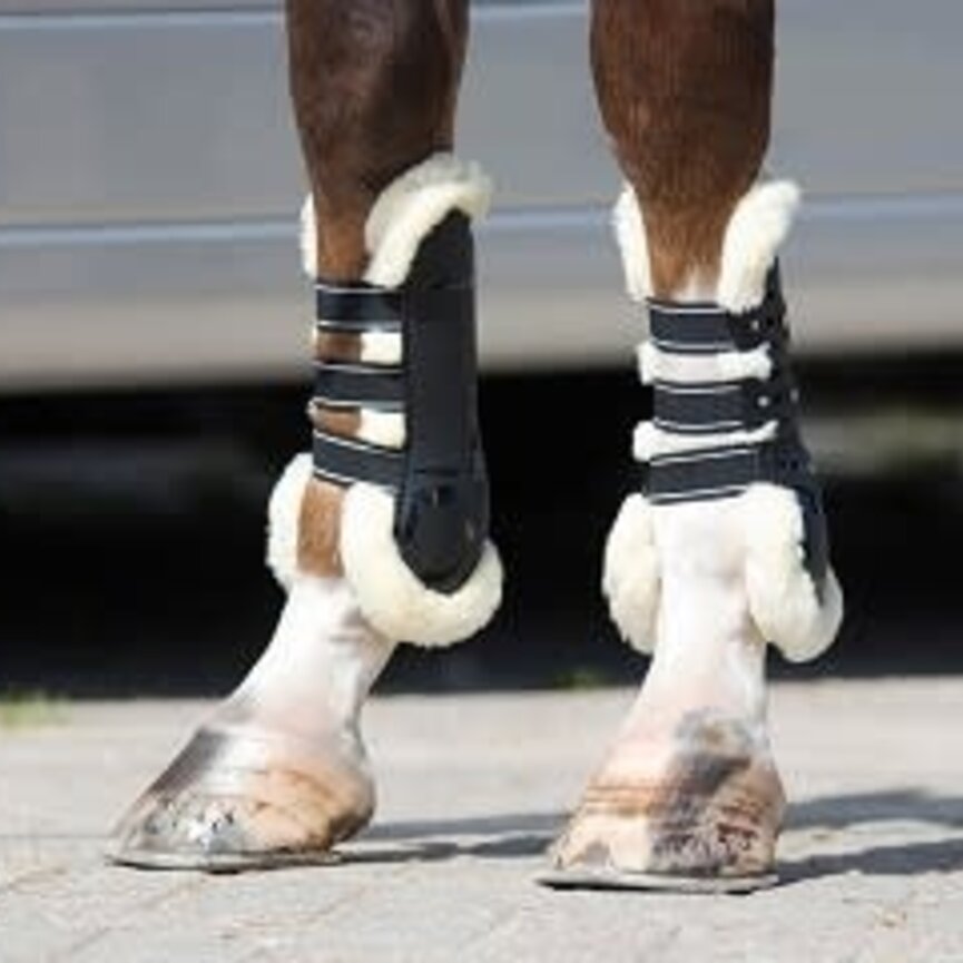 QHP Ontario Tendon Boots
