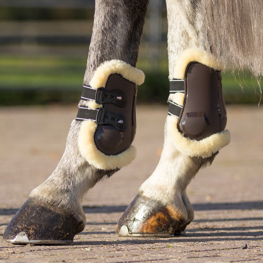 QHP Ontario Fetlock Boots