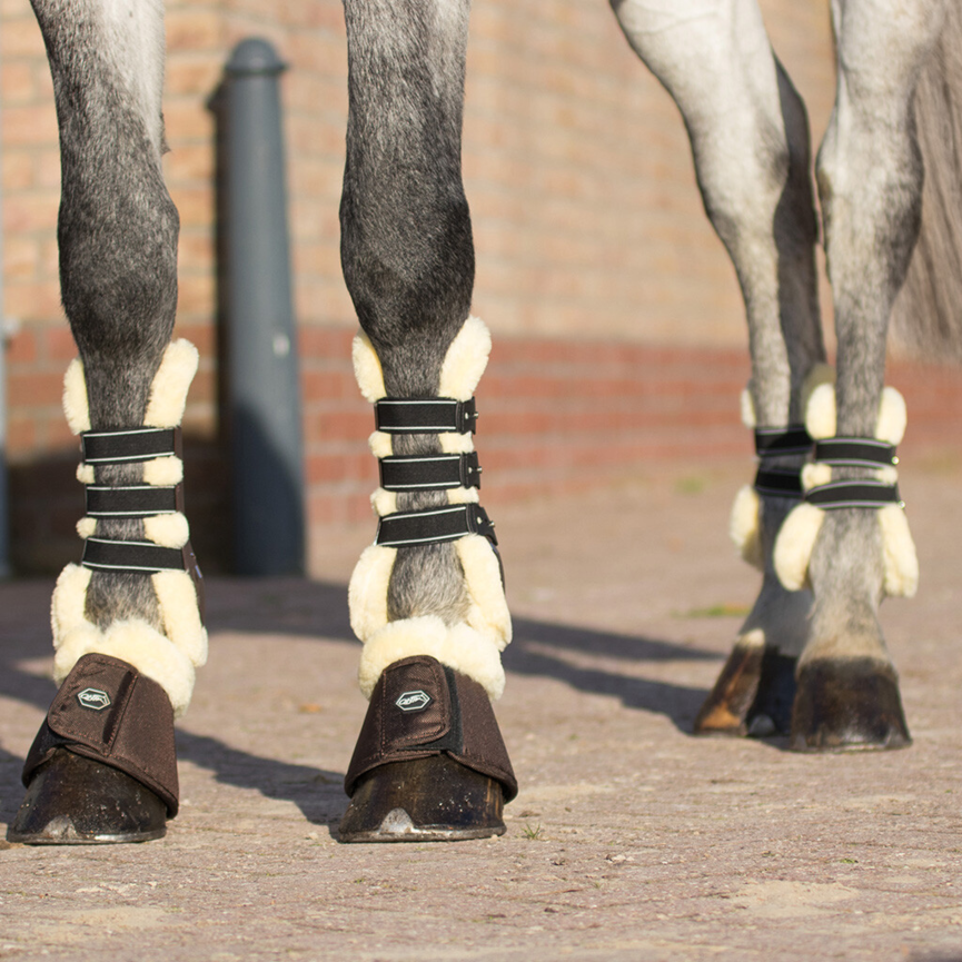 QHP Ontario Fetlock Boots