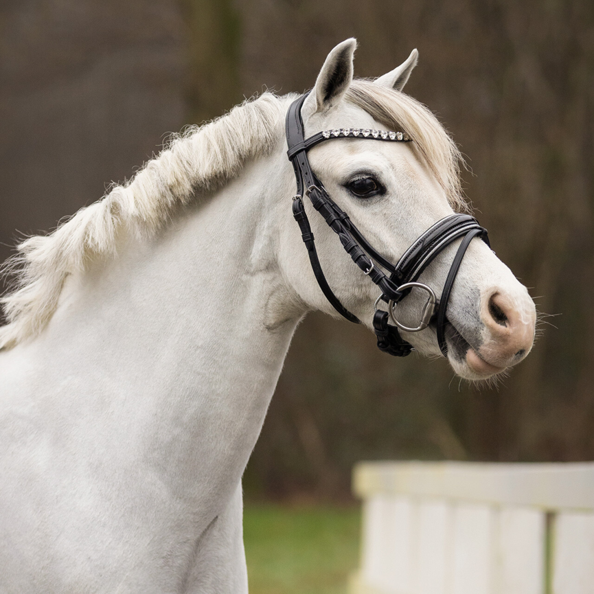 QHP Bixie Bridle
