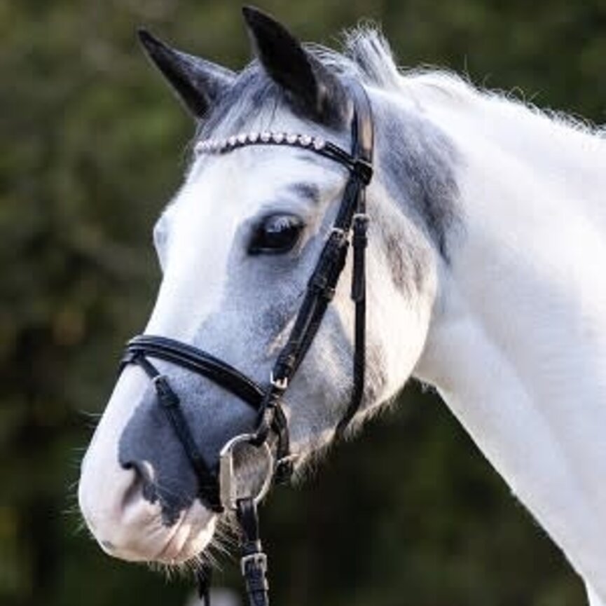 Happy Hearts Bridle - Black