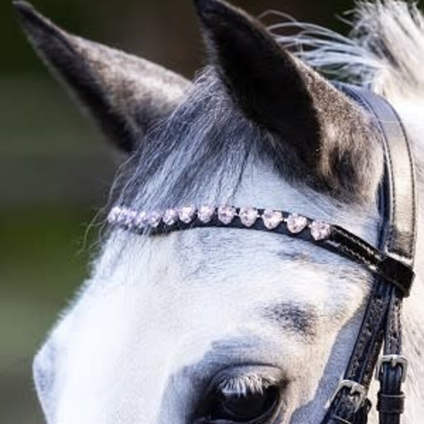 Happy Hearts Bridle - Black
