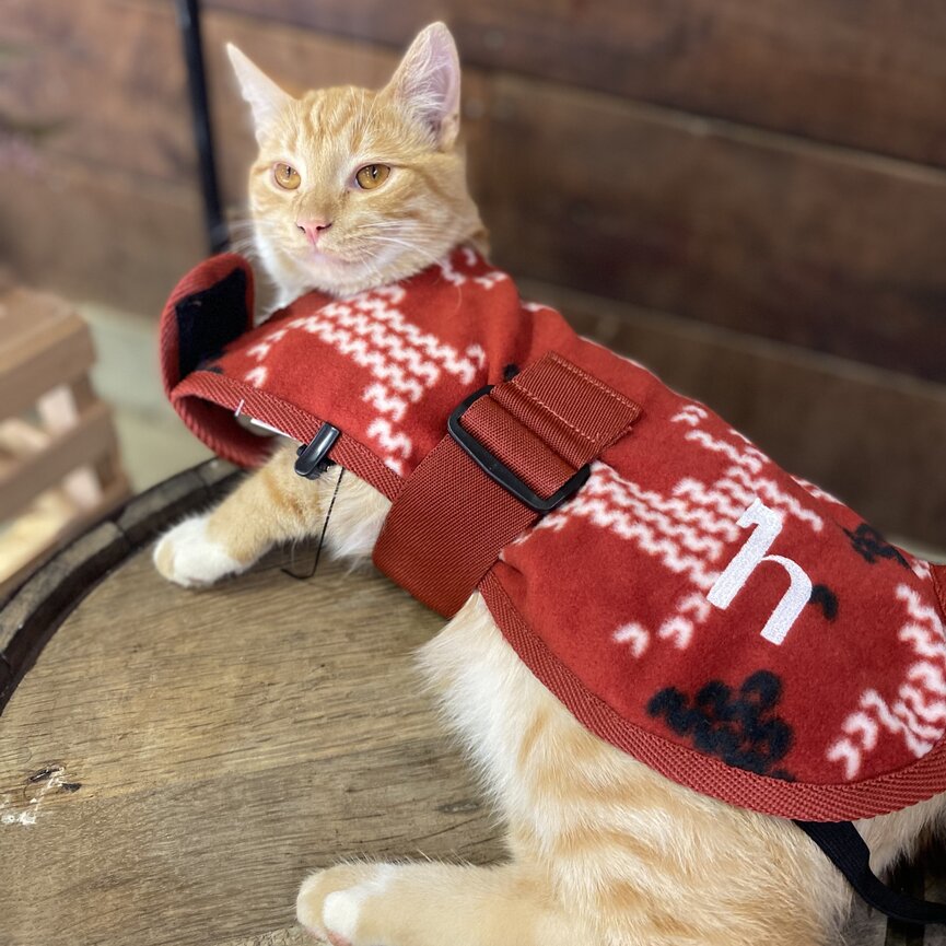 SANTA DOG FLEECE COAT